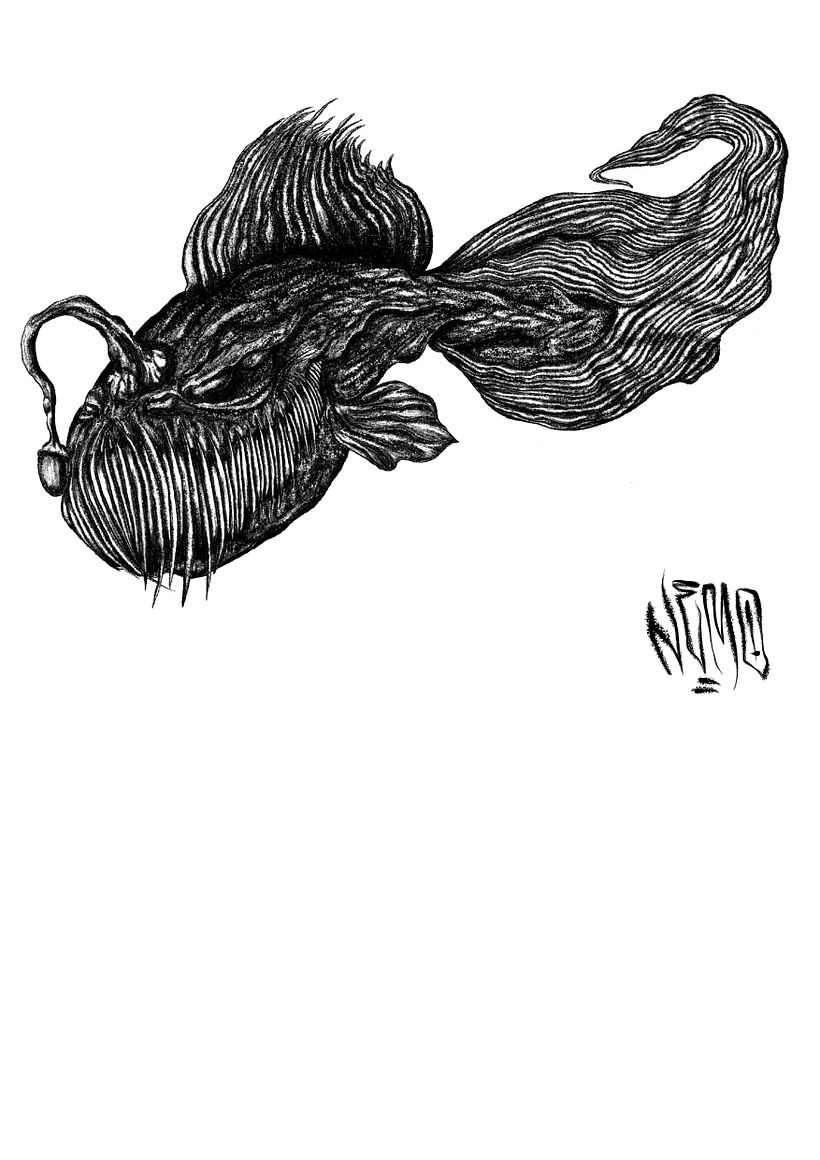 NEMONOIR portfolio 15