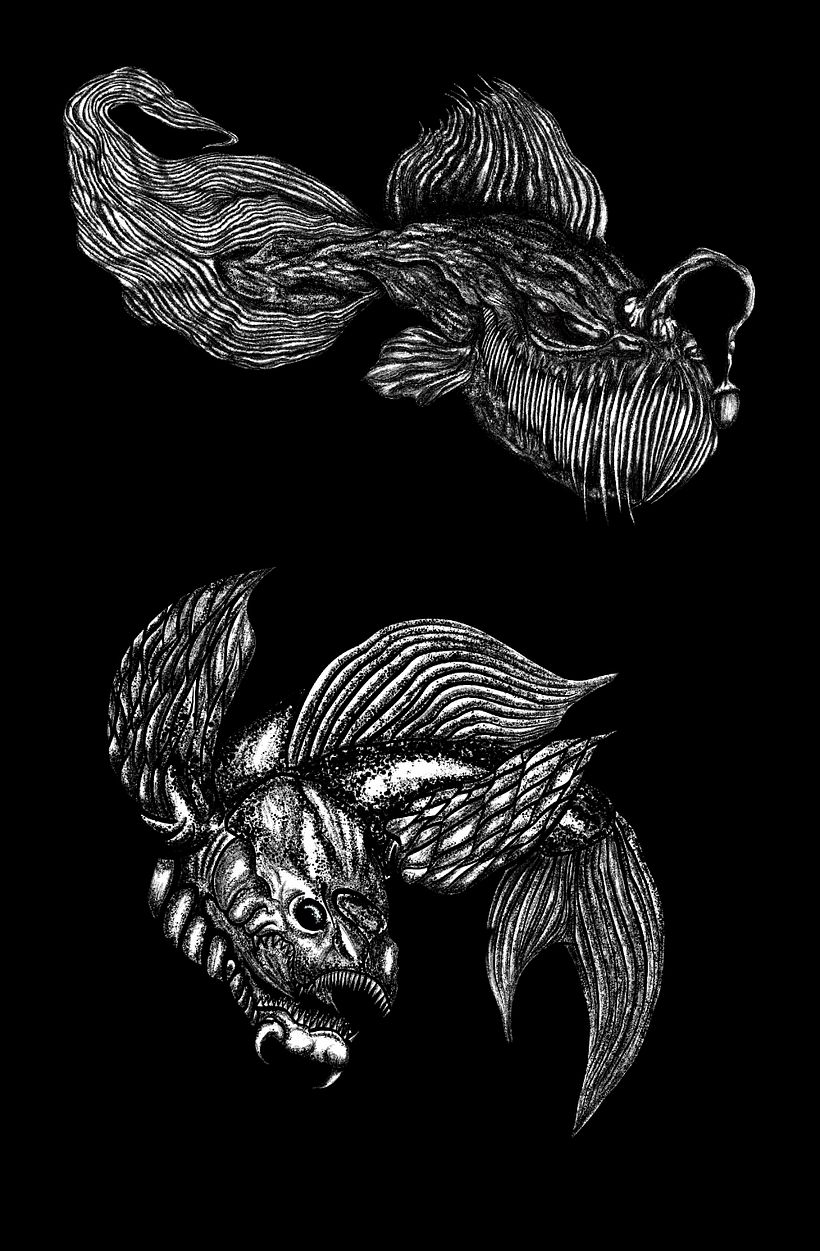 NEMONOIR portfolio 16