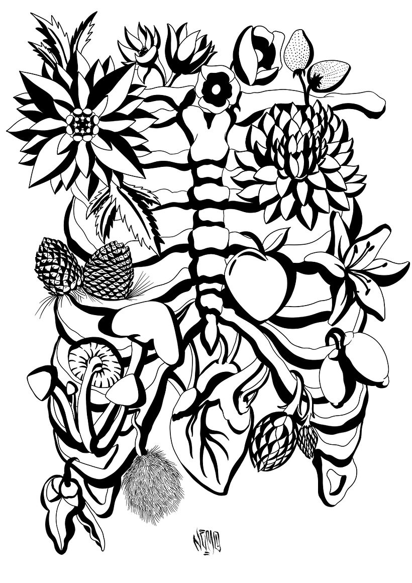 NEMONOIR portfolio 19