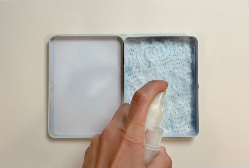 Paso 1: humedece el papel de cocina.