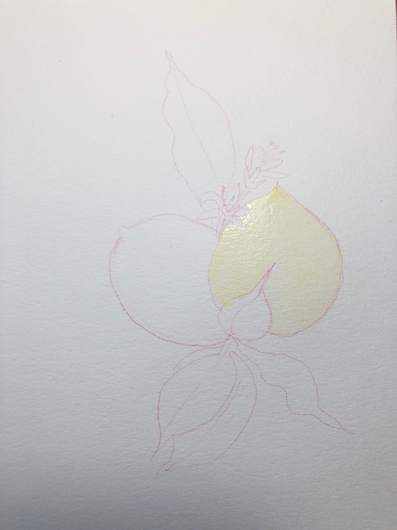 Meu projeto do curso: Aquarela botânica: ilustre a anatomia das flores 2