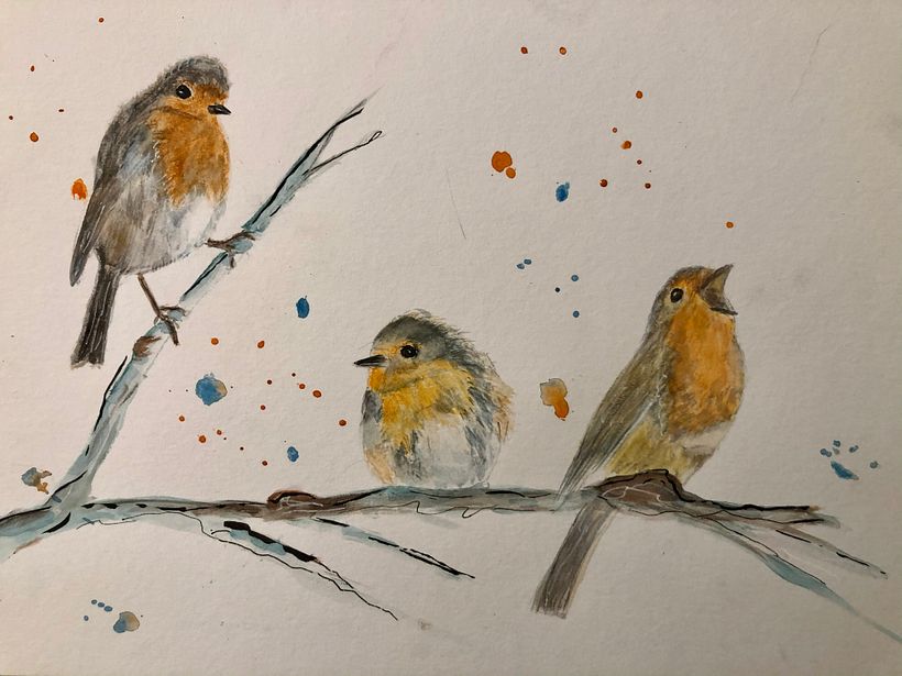 My robins