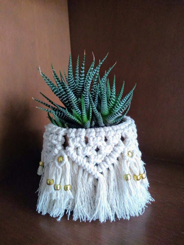 Proyecto final: maceta - Macramé