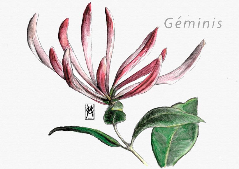 GÉMINIS - Madre Selva  0