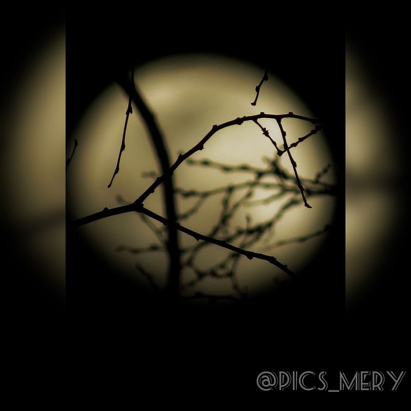 Nature, sunsets, moon, sky... 1