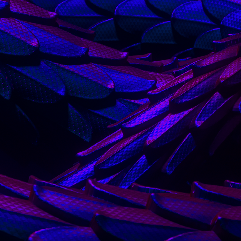 • SNAKE SKIN • follow @purple.shadow.s on Instagram