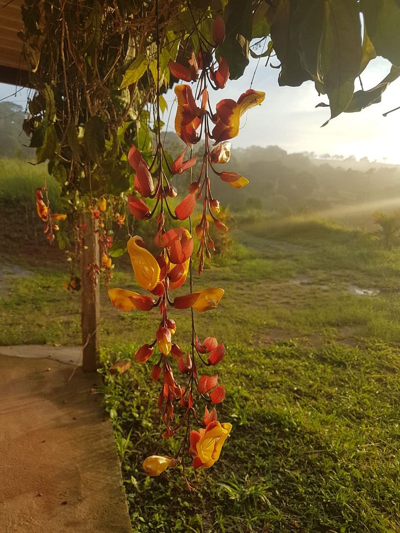 Foto sin edición sacada con celular al nascer del día