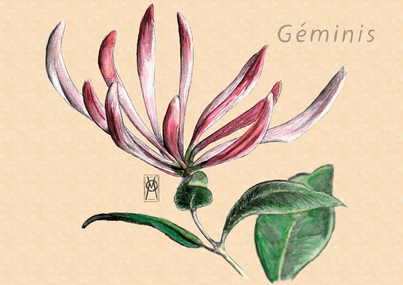GÉMINIS - Madre Selva  0