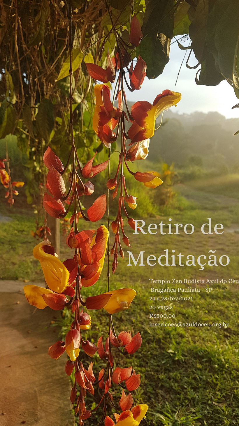 El texto fué aňadido con Canva