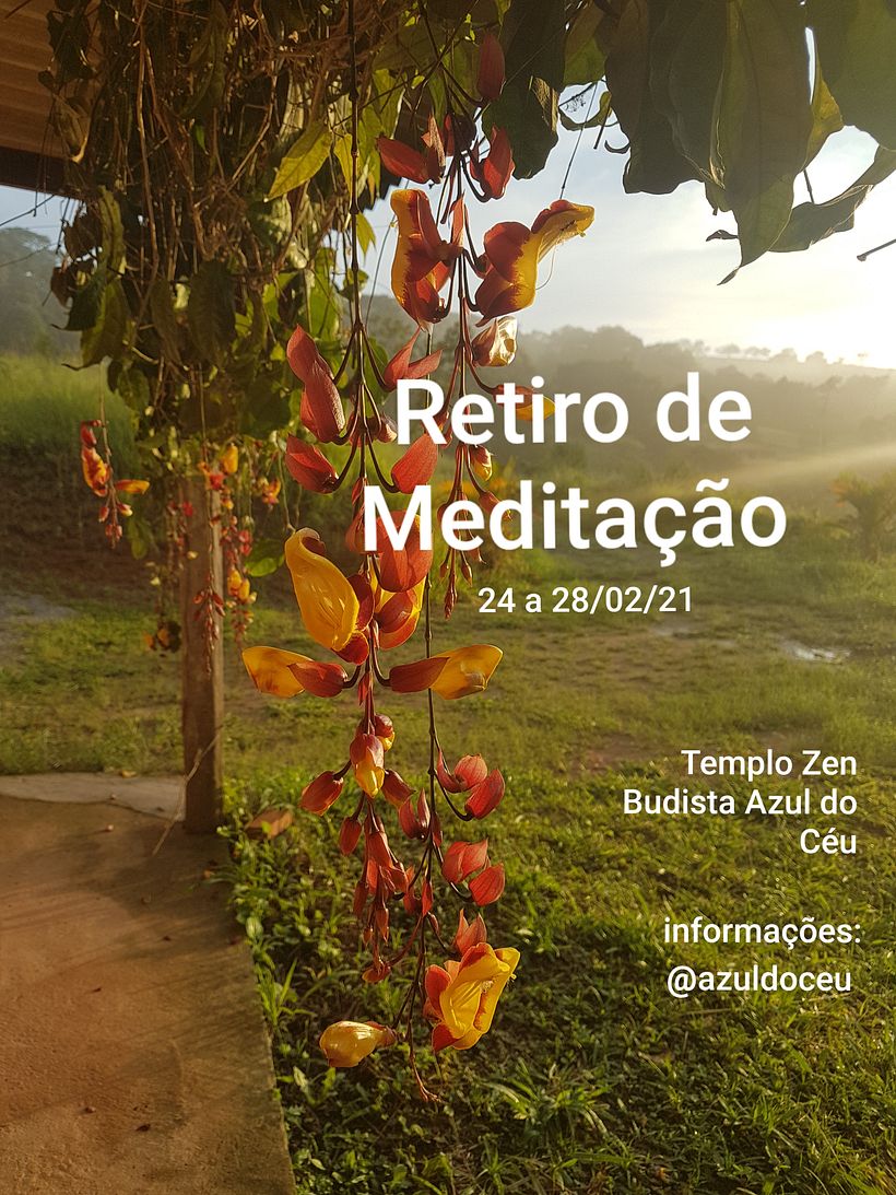 Cómo la versión gratuita de Canva no me permitió bajar un archivo de calidad aceptable para Domestika , utilizé Galeria