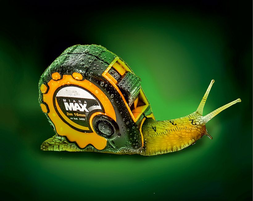  Snail. Project for tool company 0
