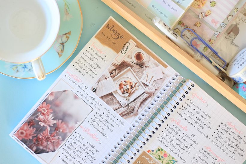 Los temas que me inspiran, entre ellos la botánica, siempre están presentes en mi bullet journal