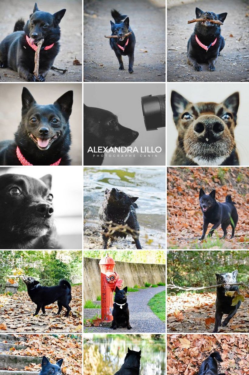 Soy amante de la naturaleza y los animales, las 8 últimas fotos son las que hice después de realizar el curso. 