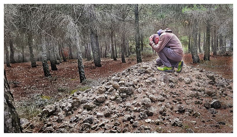 Febrero en el campo. Taken with my mobile phone and edited in snapseed. First experiments.