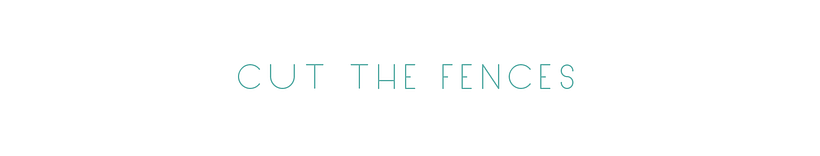 Cut the fences 0
