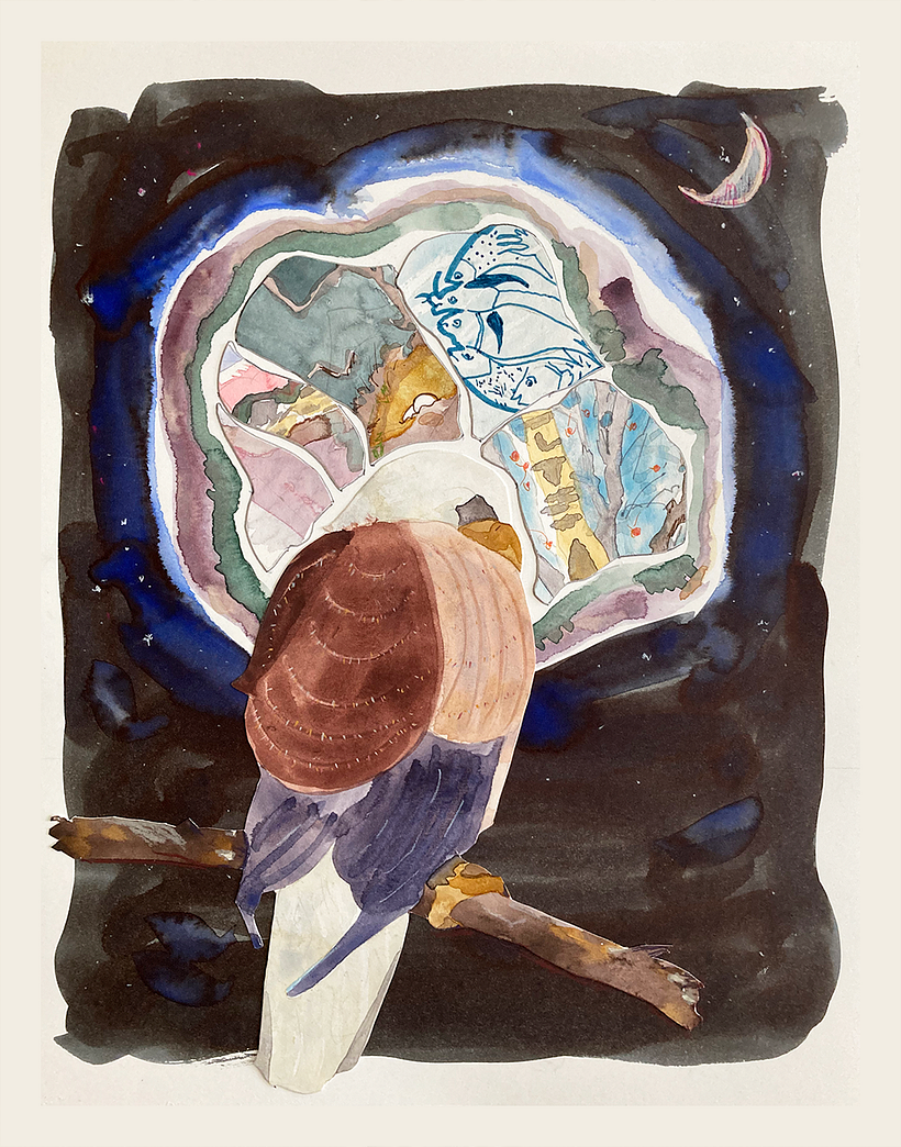 Eagle Dream