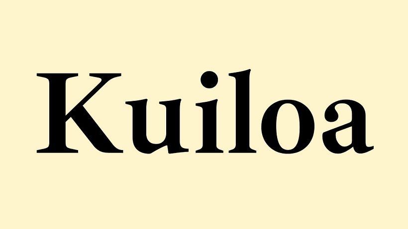 Mi Proyecto del curso: Naming: el arte de la creación de nombres 12