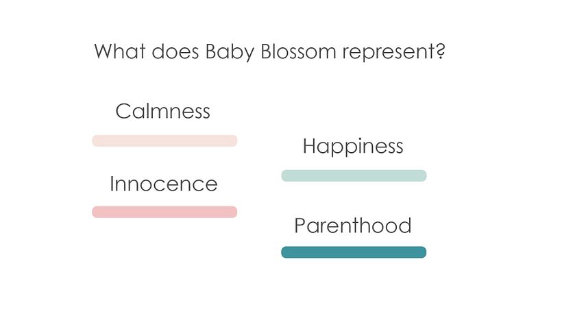 Branding Concept of a Baby Apparel Company 1