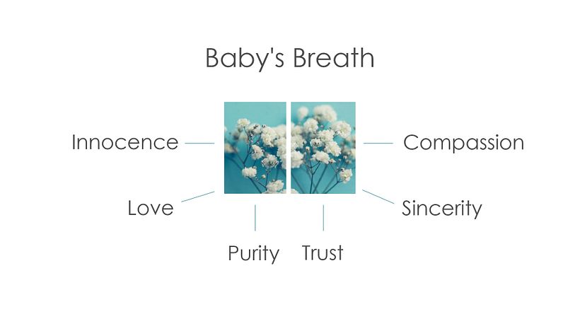 Branding Concept of a Baby Apparel Company 2