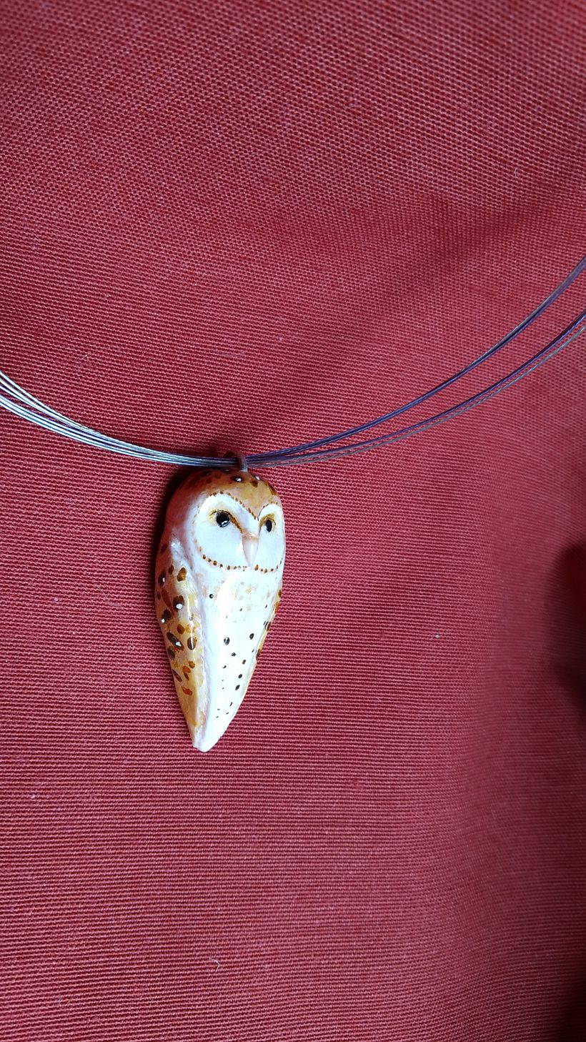 Donde hay una flor encontrarás una mariposa. 4