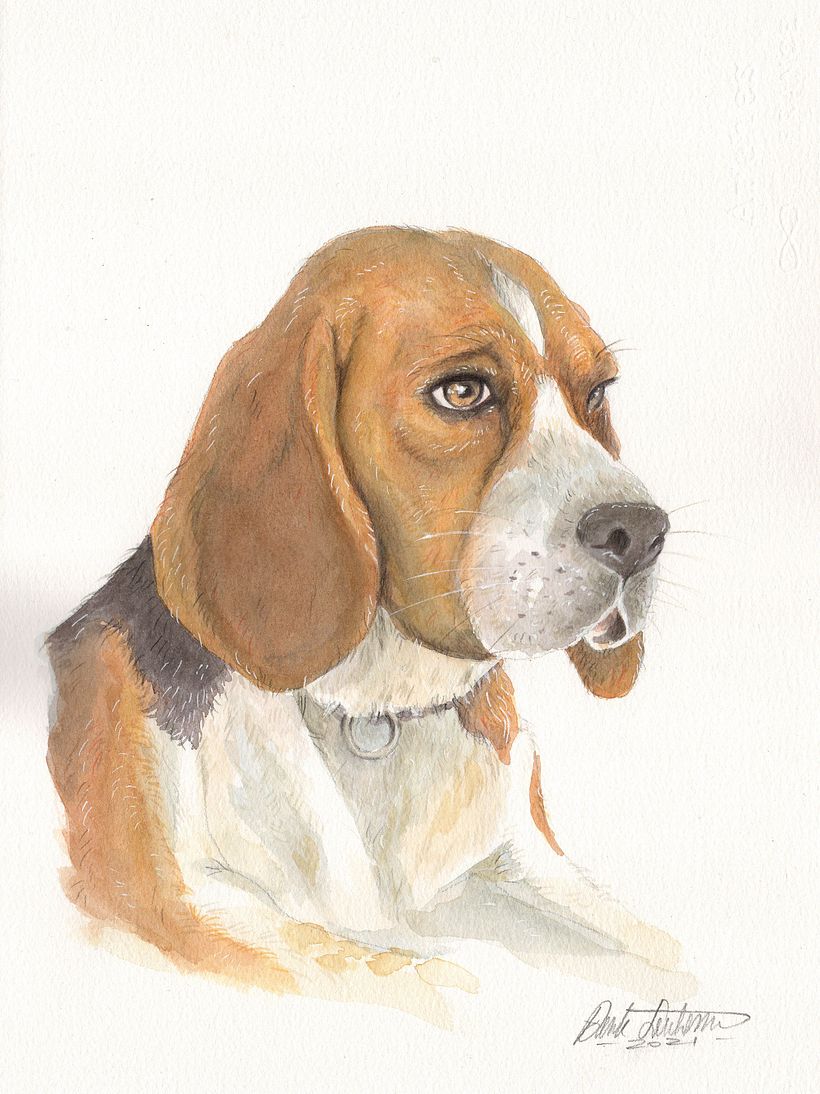 My project in Experimental Watercolor Techniques for Beginners course -1