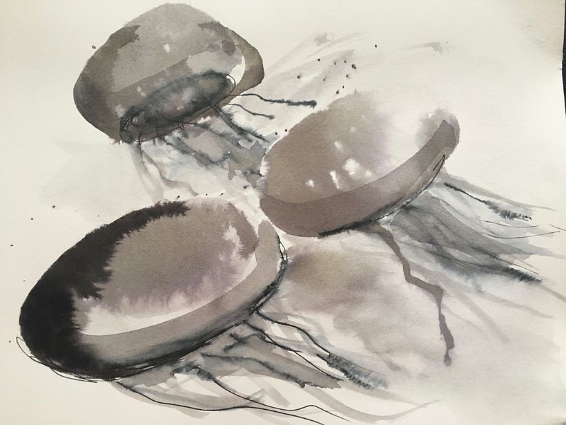  A Creative Exploration course: jellyfish in ink 0