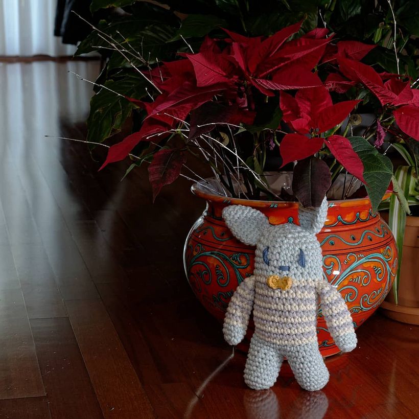 My project in Amigurumi: Creation of Characters through Crochet course -1