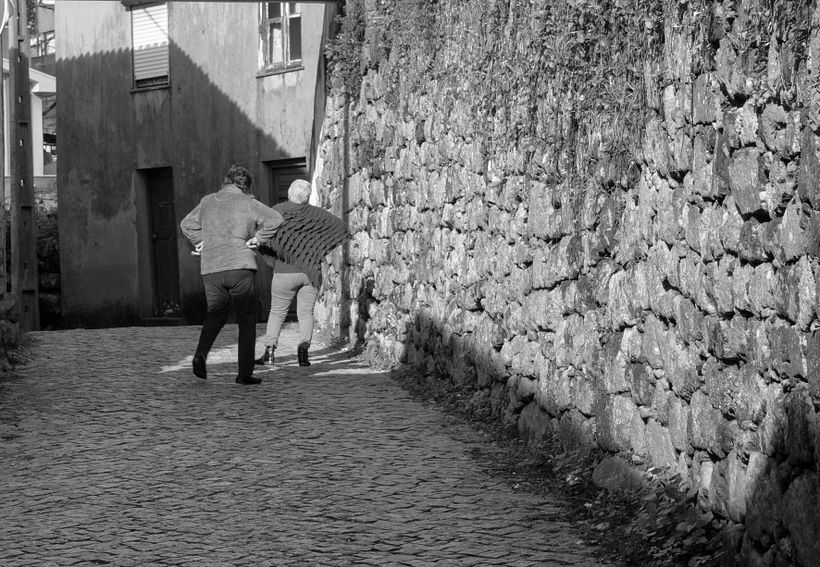 Meu projeto do curso: Introdução à fotografia digital 1