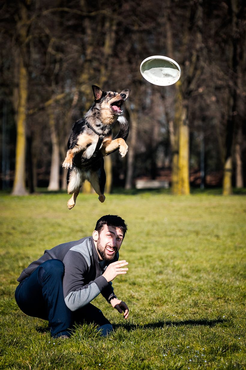 Milano Dog Photography 13