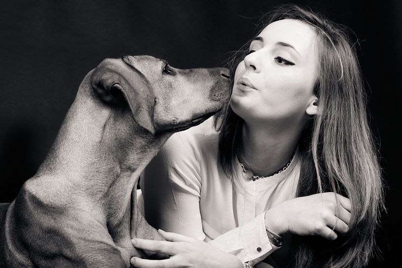 Milano Dog Photography 8