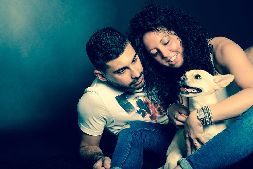 Milano Dog Photography 11