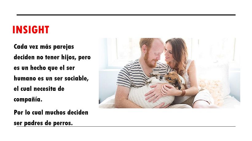 Adoptar será más fácil con ItsMineD app 1
