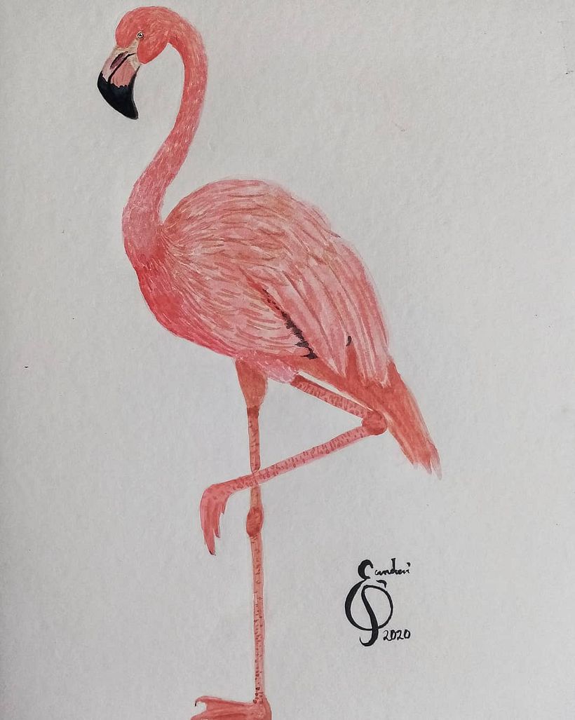 Mi Proyecto del curso: Ilustración naturalista de aves con acuarela 0
