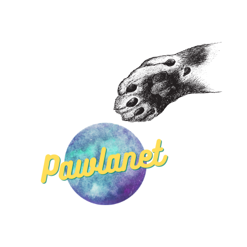 Meu projeto do curso: Design de logos: do conceito à apresentação 6