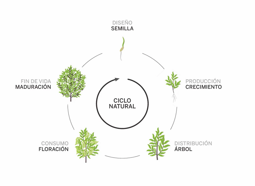 El ciclo ideal de un producto imita el ciclo de vida de un ser vivo.