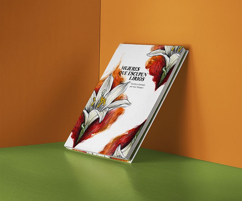 Libro ilustrado 0
