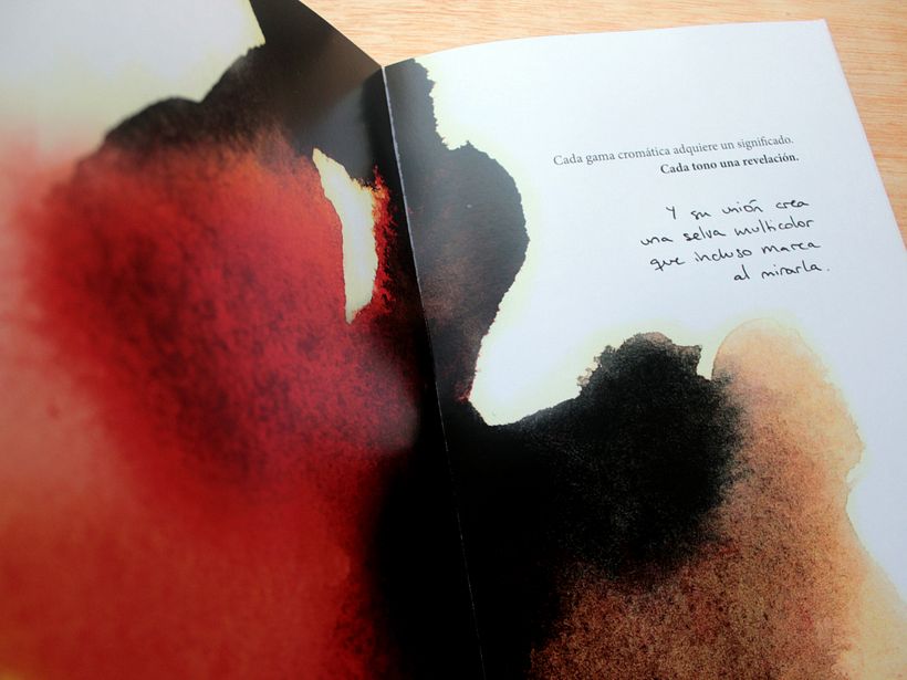 Libro ilustrado 3