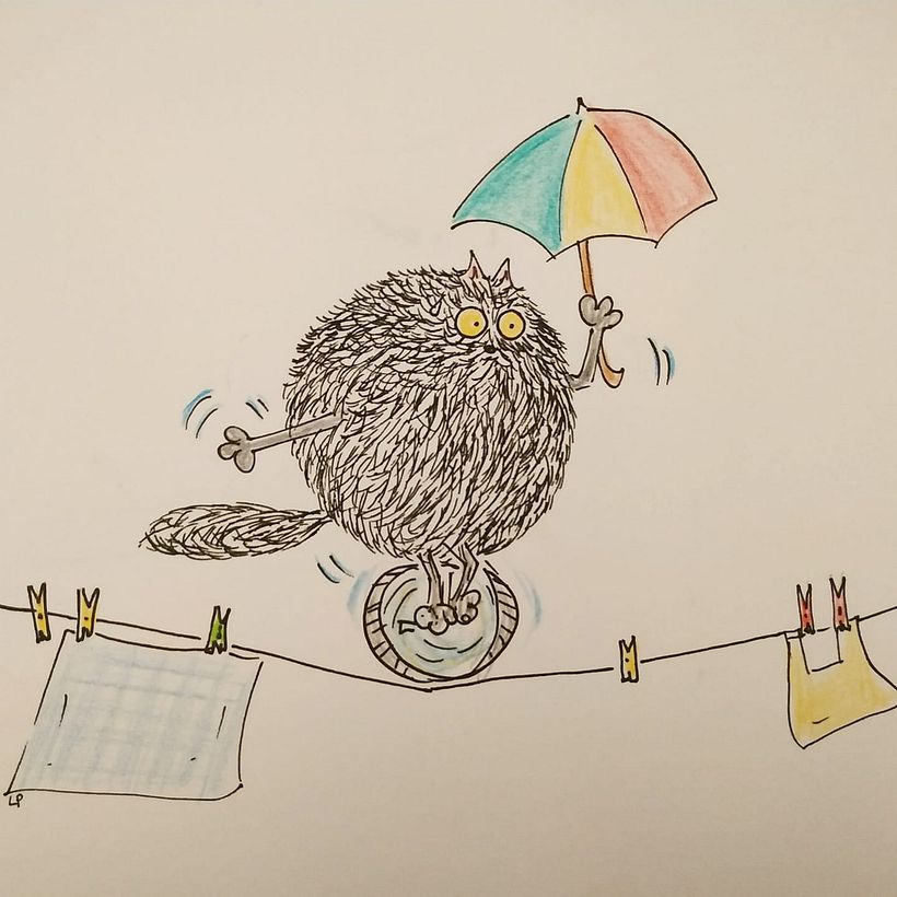 Pallagatto's (ballcat) example of agility