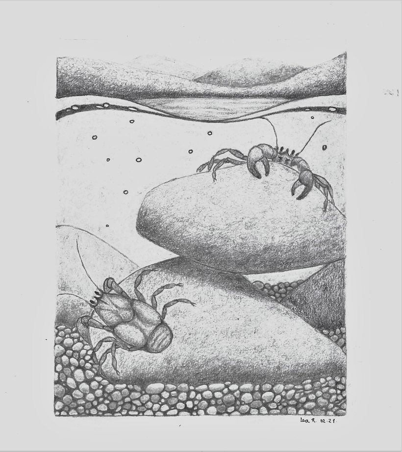Vivo a orillas de un lago y bajo un volcán. Cuando era niña solía recorrer la orilla buscando pancoras debajo de las piedras,