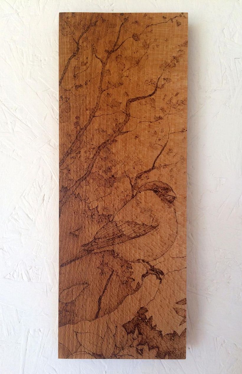 Bullfinch. Pyrography on beech wood, treated with mineral oil.