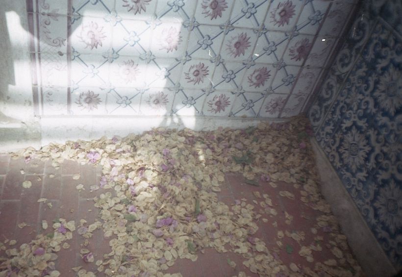 Postais para mim mesma 2