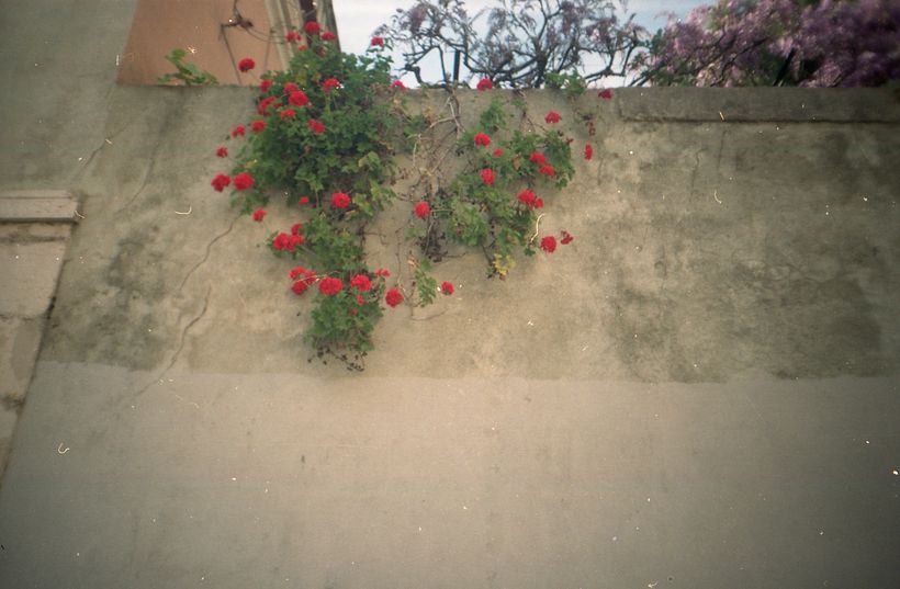 Postais para mim mesma 5