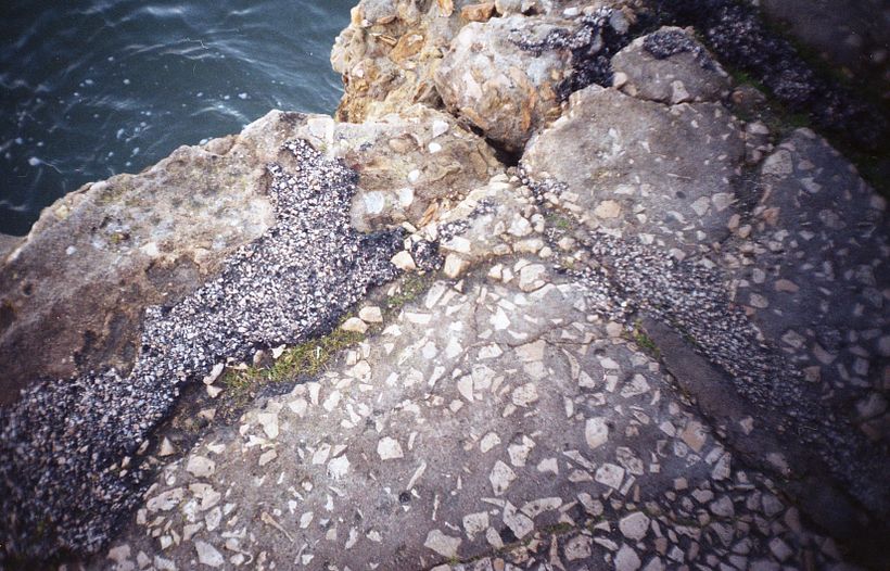 Postais para mim mesma 7