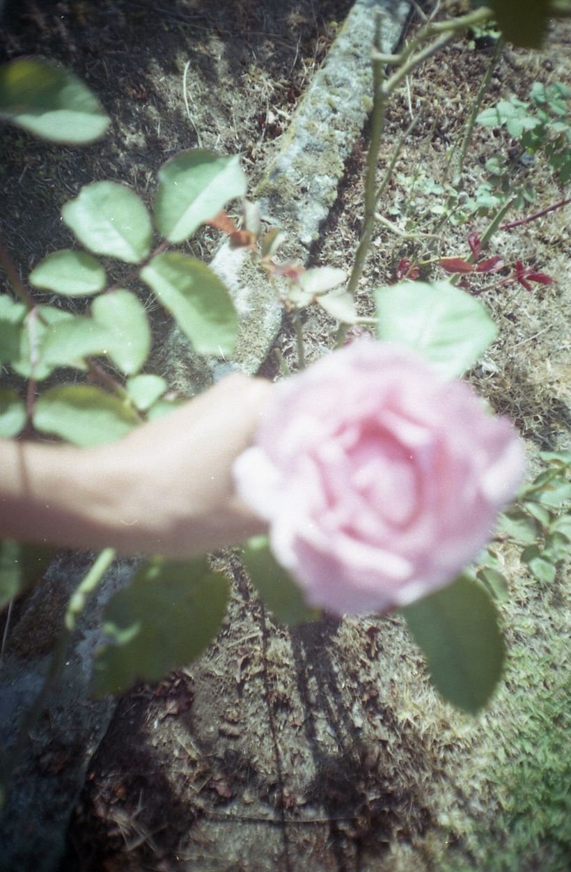 Postais para mim mesma 8