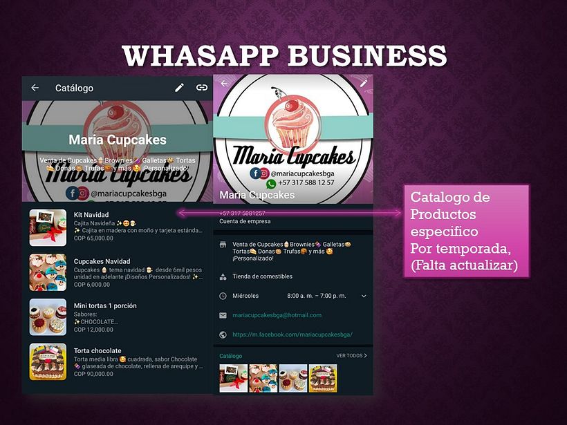 Mi Proyecto del curso: Estrategia de comunicación para redes sociales 3