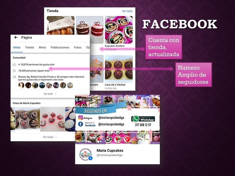 Mi Proyecto del curso: Estrategia de comunicación para redes sociales 4