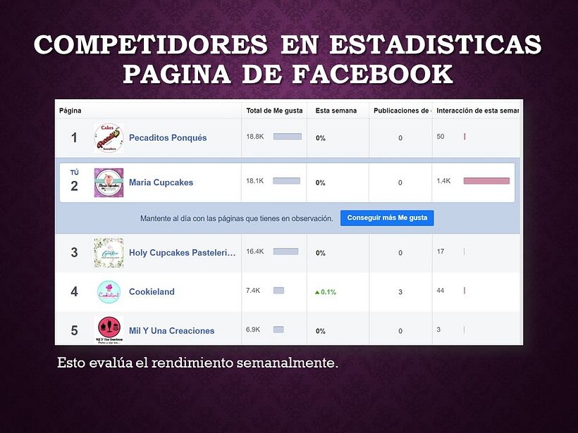 Mi Proyecto del curso: Estrategia de comunicación para redes sociales 8