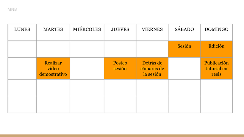Mi Proyecto del curso: Introducción al community management 3