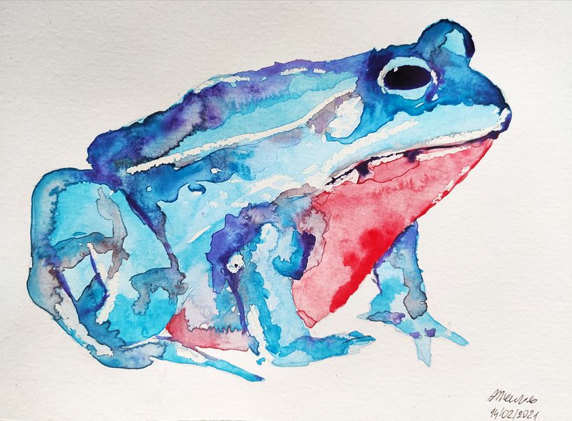 Animals - inspired by Ana Santos course 1