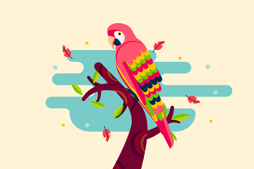 Macaw 0